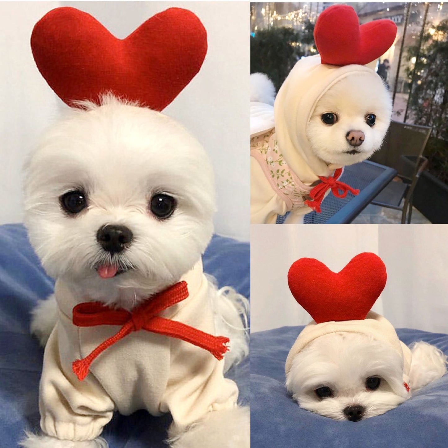 Cute Fruit Dog Hoodie — Warm Fleece Pet Clothing for Small Dogs (Winter Wear) - Pets Playland