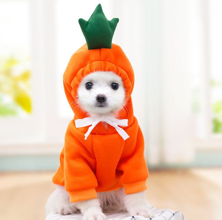 Cute Fruit Dog Hoodie — Warm Fleece Pet Clothing for Small Dogs (Winter Wear) - Pets Playland