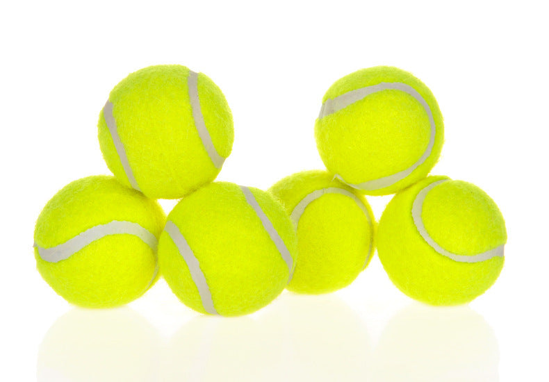 Automatic Dog Ball Launcher — Interactive Fetch Toy for Pets - Pets Playland