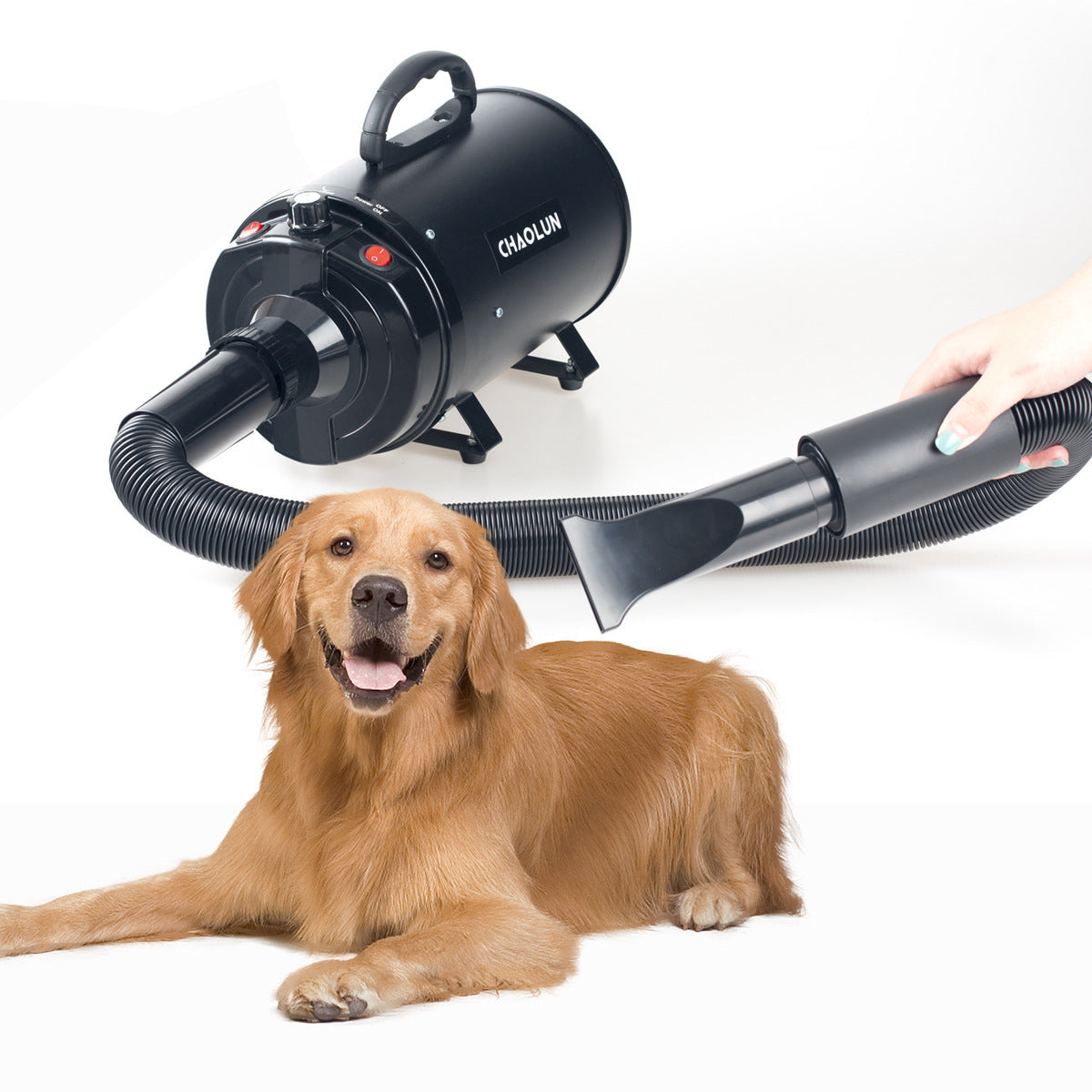 High-Power Pet Hair Dryer – Quick-Drying & Silent Blower for Dogs & Cats - Pets Playland