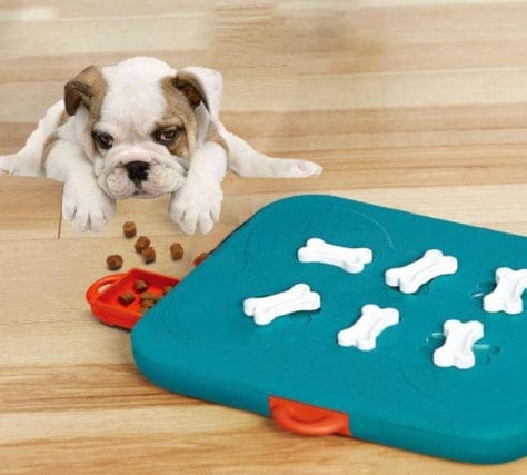 Treasure Hunt Puzzle Feeder Toy for Pets – Interactive Food Dispensing Game - Pets Playland