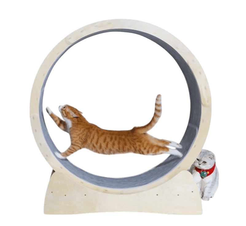 Special Cat Treadmill Roller Toy — Interactive Exercise Toy for Cats - Pets Playland