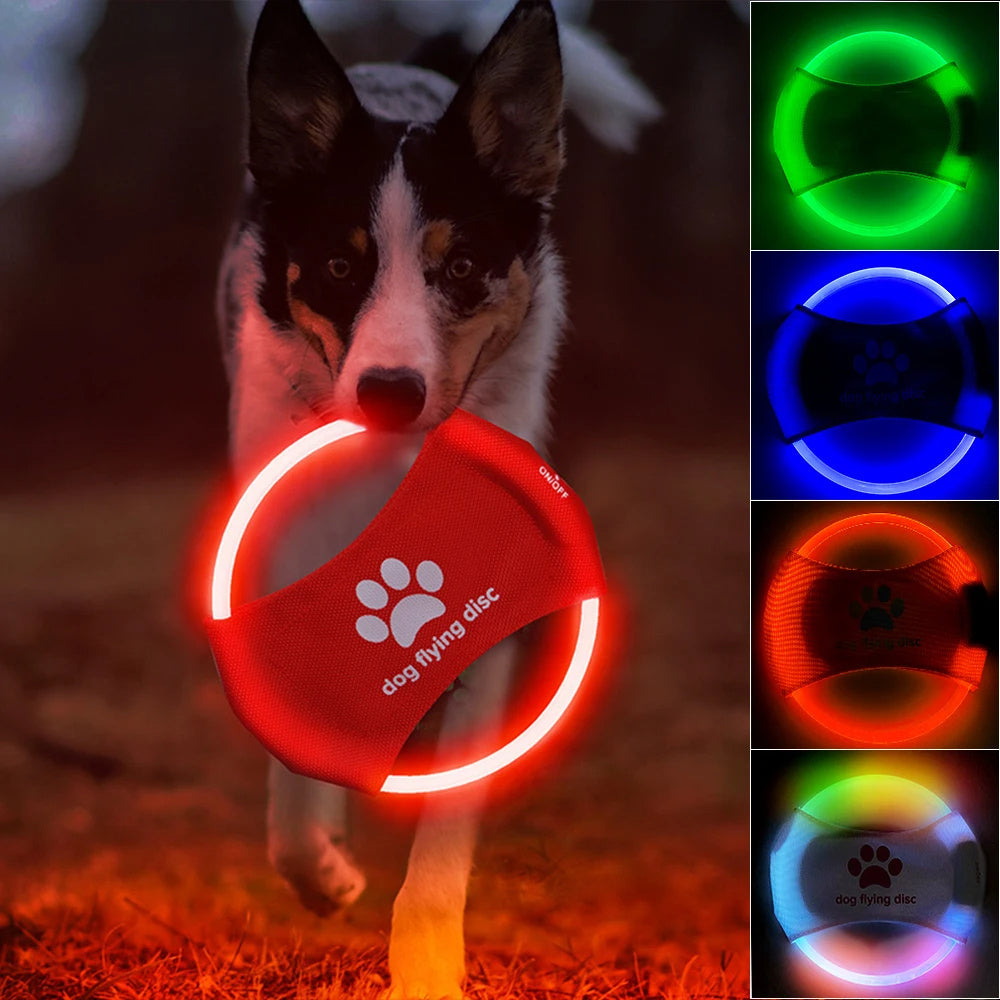 LED Glowing Dog Flying Disc – Interactive Light-Up Toy for Nighttime Play - Pets Playland