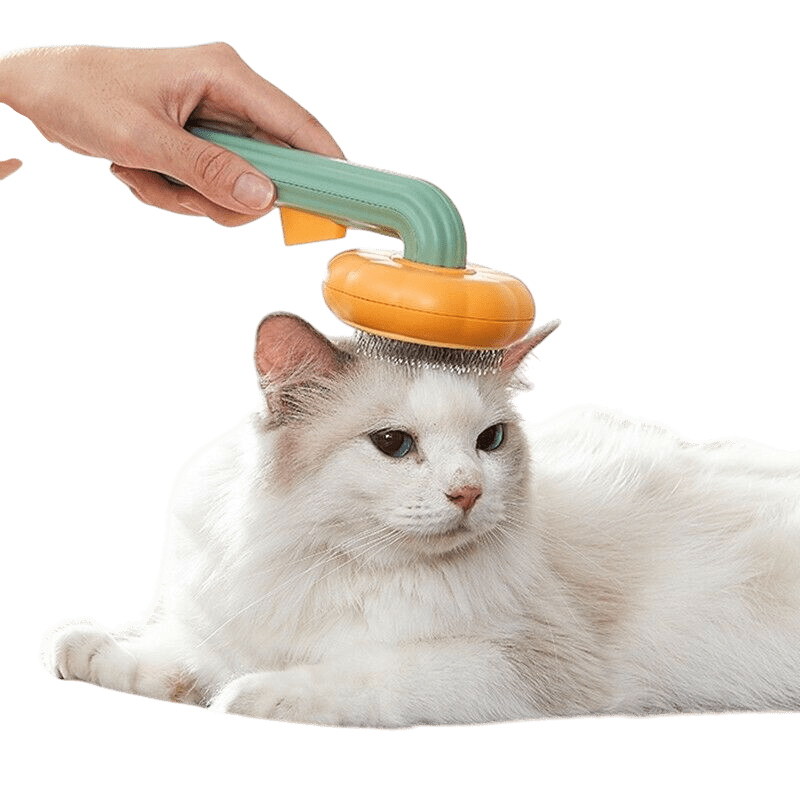 Pumpkin-Shaped Pet Grooming Brush – Gentle Hair Removal & Massage Comb - Pets Playland