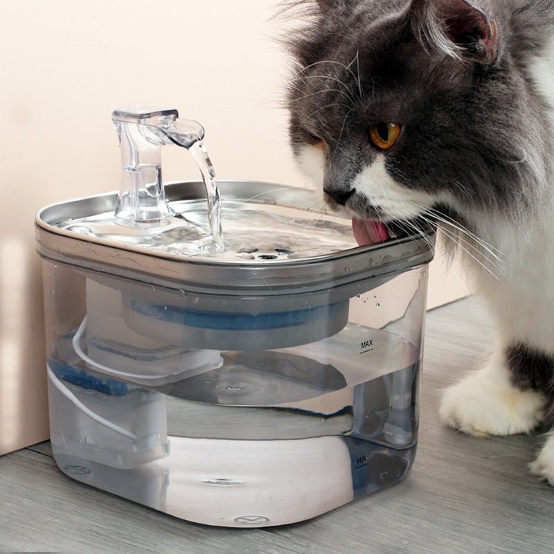 Pet Cat Dog Stainless Steel Automatic Circulation Water Dispenser Intelligent Fountain Pets Accessories - Pets Playland