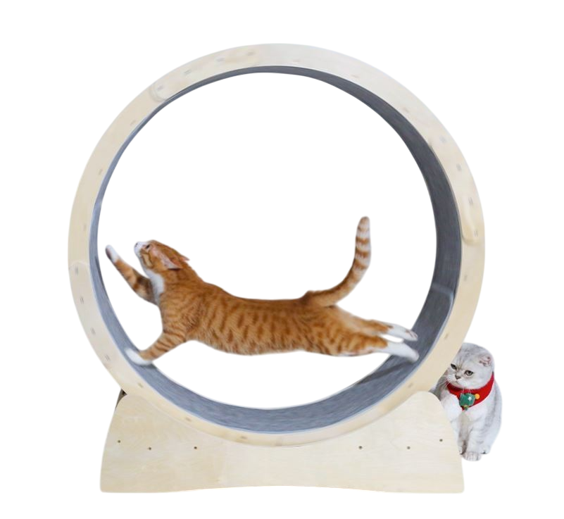 Special Cat Treadmill Roller Toy — Interactive Exercise Toy for Cats