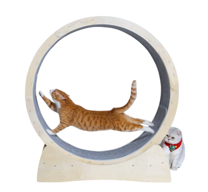 Special Cat Treadmill Roller Toy — Interactive Exercise Toy for Cats