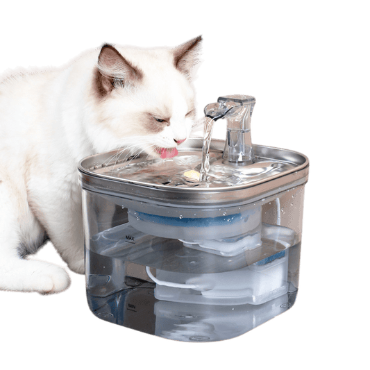 Pet Cat Dog Stainless Steel Automatic Circulation Water Dispenser Intelligent Fountain Pets Accessories - Pets Playland