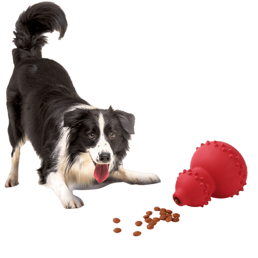 Natural Rubber Bite-Resistant Dog Toy – Fun & Teeth Grinding!