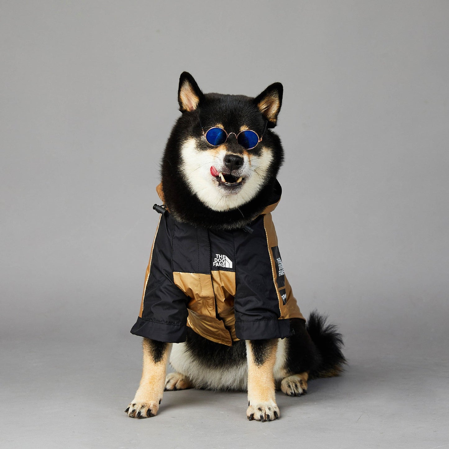 Large Dog Raincoat Jacket – Stylish and Waterproof Protection