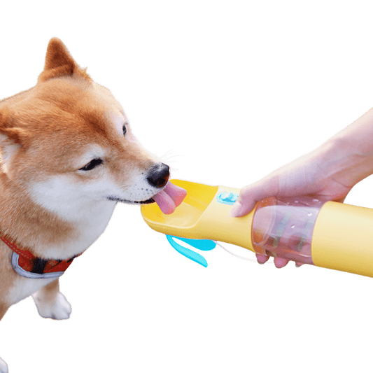 Portable Pet Water and Food Bottle — Travel Feeding Cup for Dogs & Cats