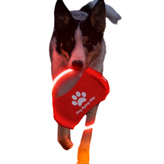 LED Glowing Dog Flying Disc – Interactive Light-Up Toy for Nighttime Play - Pets Playland