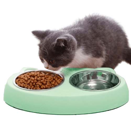 Dog Bowls Double Dog Water And Food Bowls Stainless Steel Bowls With Non - Slip Resin Station, Pet Feeder Bowls For Puppy Medium Dogs Cats - Pets Playland